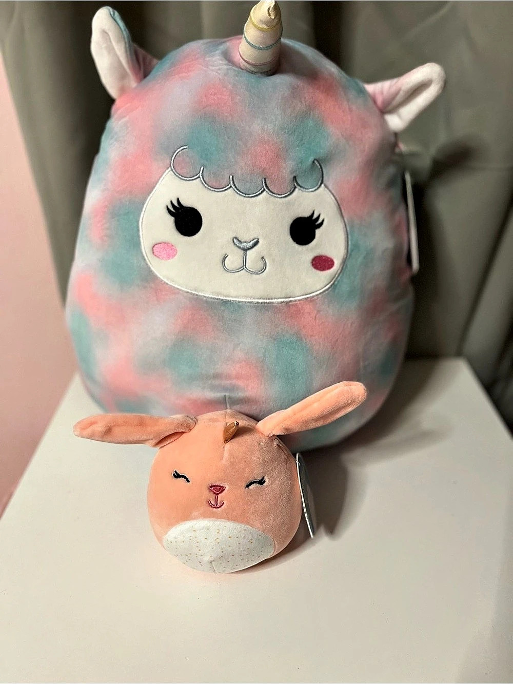 Squishmallows Clarice and Winona Plush Toys Clarice & Winona NWT